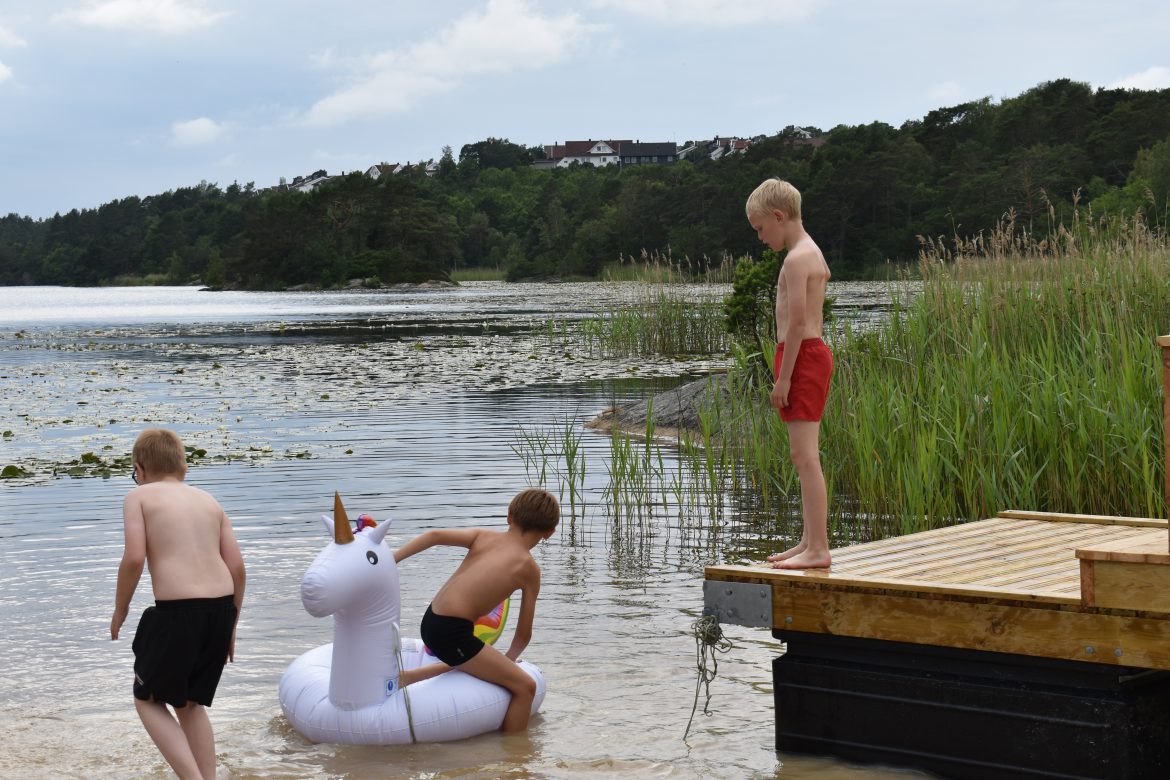 DSC_0090 DSC 0090 1