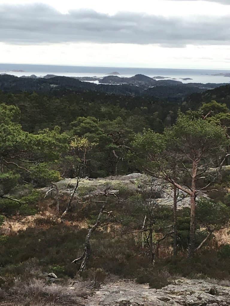 Bilde 15 utsikt fra Lindåsvarden. Vi aner enden på turen – Salthaug i det fjerne
