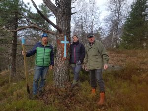 Nyhetsarkiv 1 Korset i furua er ferdig malt 07.11.20 Rebekke Foss Hartveit Historielaget