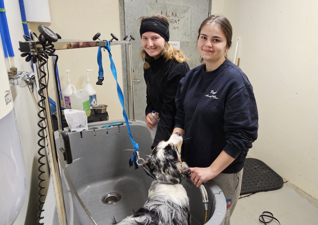 Hunden Sayo får godt stell og vask av Mona Nathalie Rekdal og Sarah Borøy.