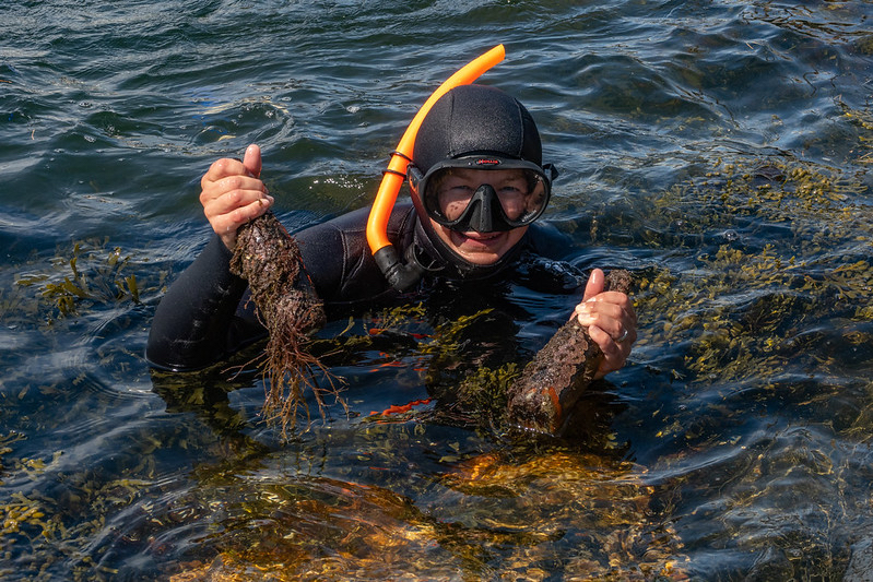 Anne Line trives best i vannet med snorkel og maske. Hun dykker også etter søppel på havbunnen.