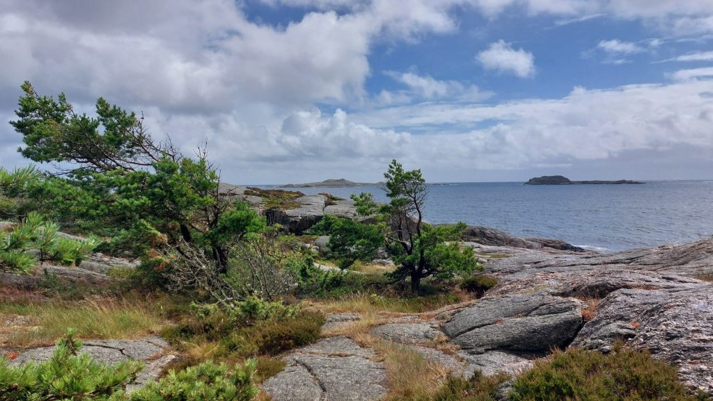 Vår felles natur - vakker og sårbar