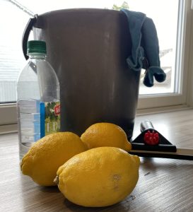 Nyhetsarkiv 8 Anne Lines grønne hjørne påske