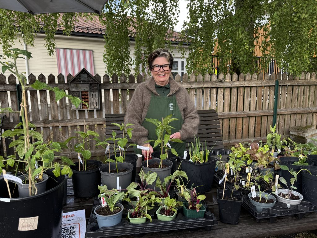 Glimt fra populært plantemarked 2 Nestleder og medlem av Songdalen Hagelag, Anita Dietrichson på plass med sine nyttevekster. Etter en halvtime var mye allerede solgt.