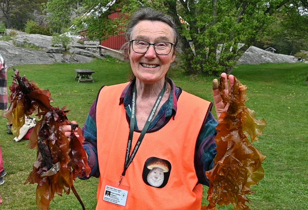På tangtur med Blomkålsoppen i Helleviga! 2 Hanne Katinka