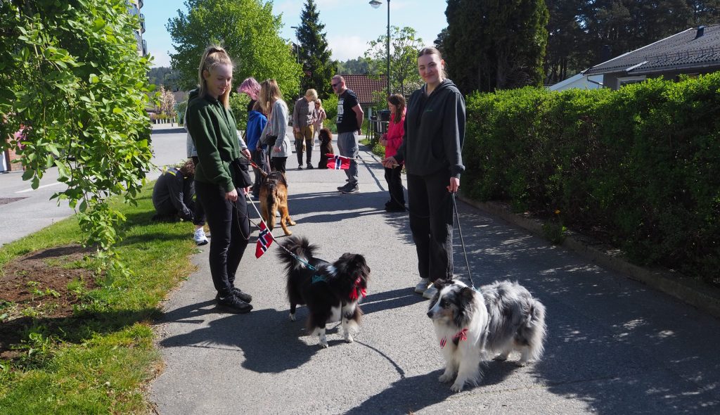 Årets hundetog i Søgne 2 Hundetog