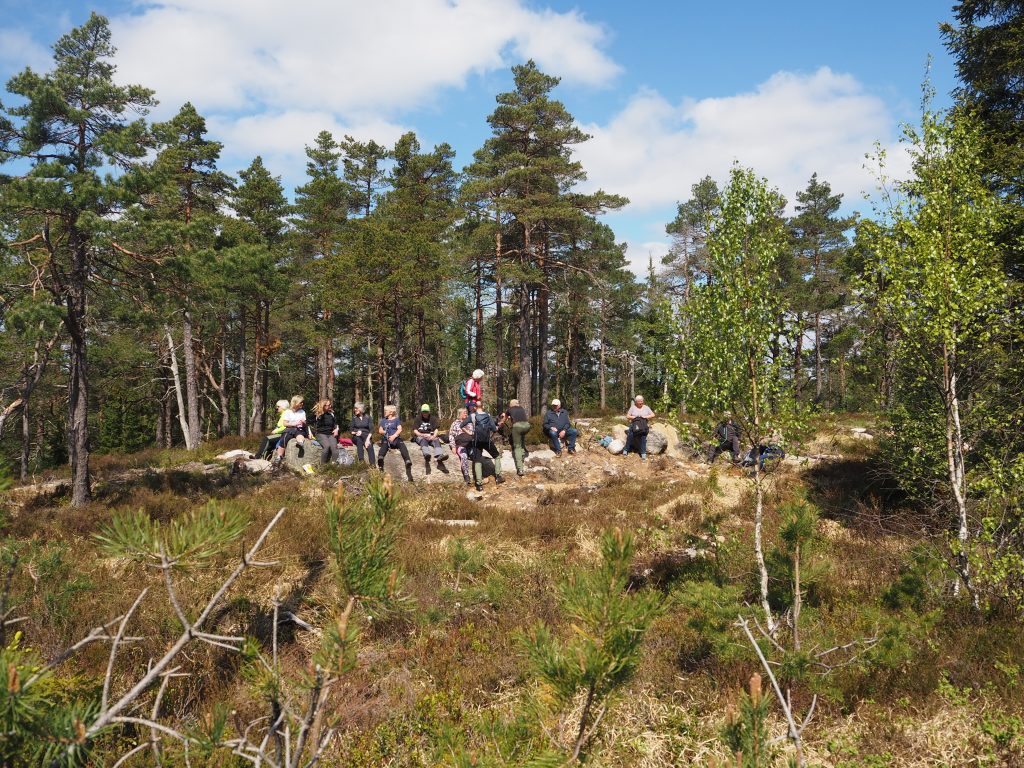 Etter cirka tre kilometer på den gamle ferdselsstien var det godt med en nistepause i solskinnet.