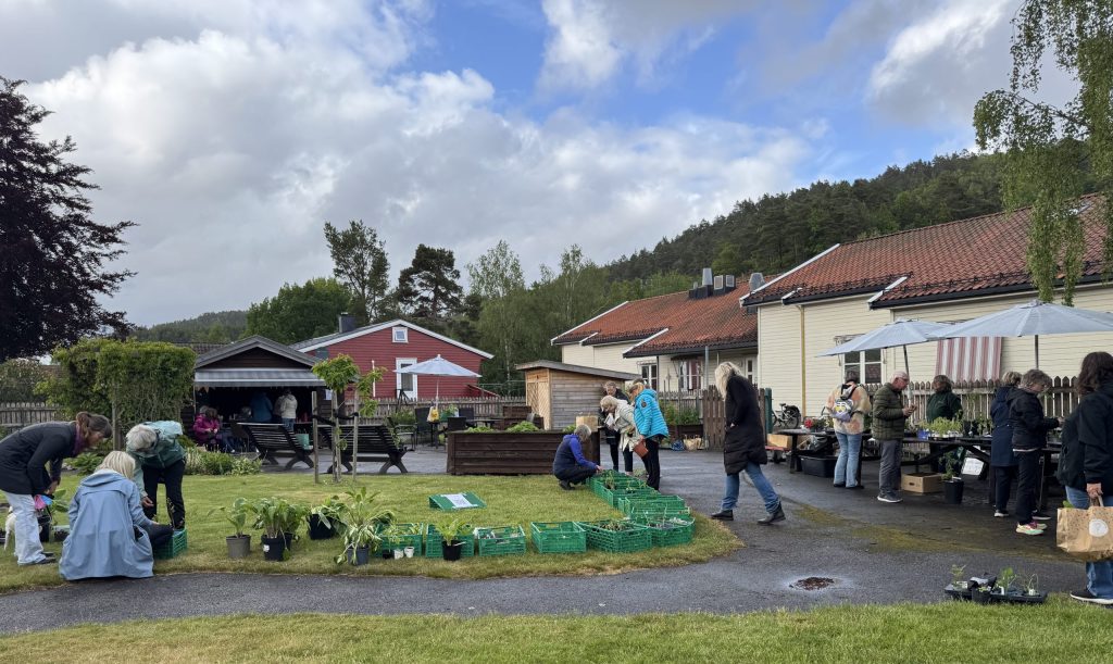 Songdalen Hagelag arrangerte mandag kveld sitt årlige plantemarked i Sansehagen på Nodeland.