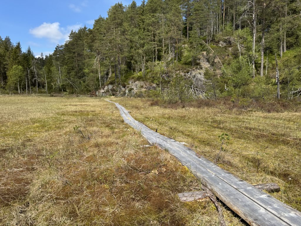 Da er Stokkebakken besøkt - tur nr 1 3 Nye solide plankebord er lagt over Blaudemyr.