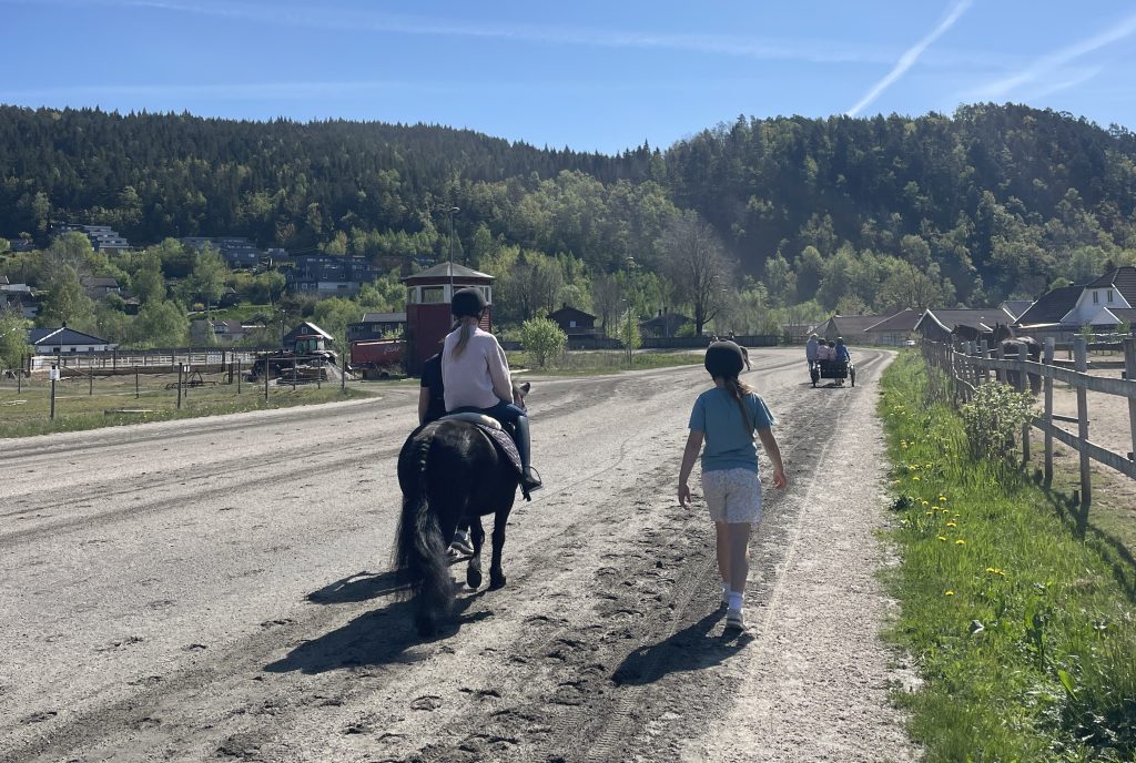 Hesteglede på Hortemo lørdag 10. mai 5 Hestens dag