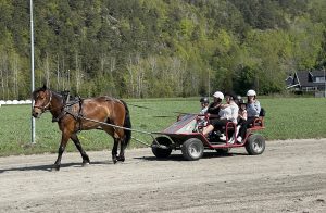 Nyhetsarkiv 7 Hestens dag 2025