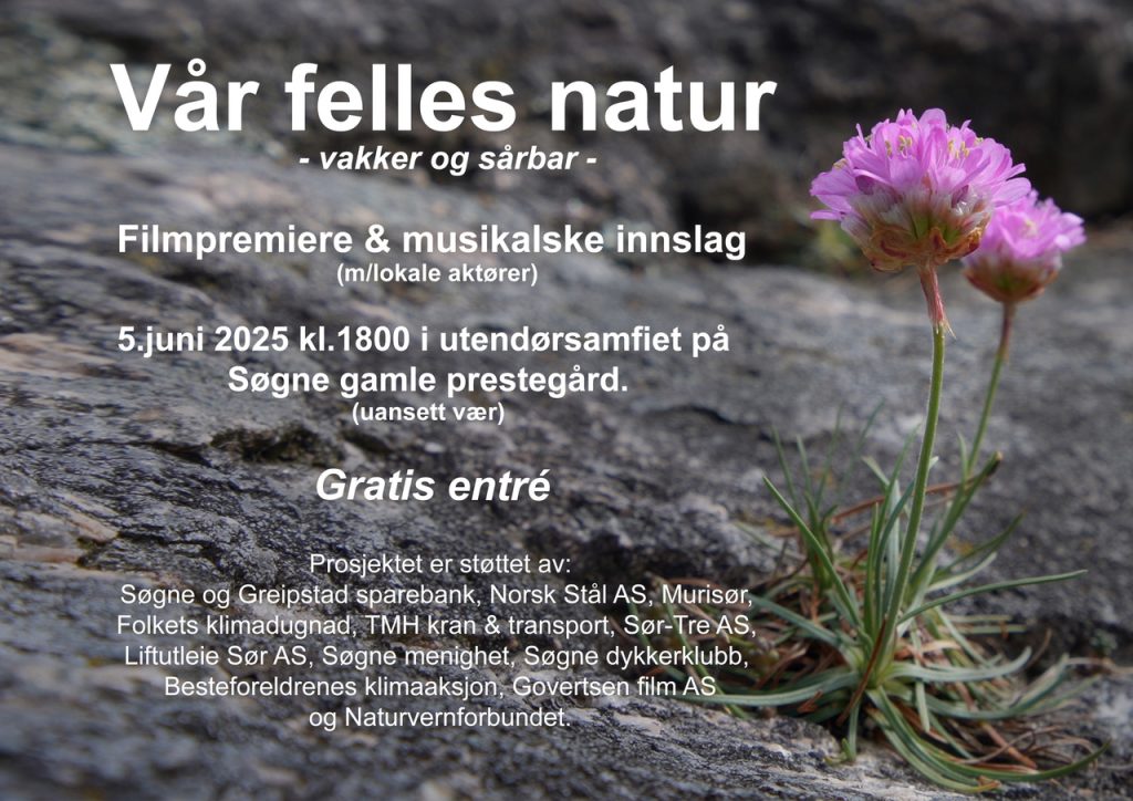 var felles natur SOMEv2