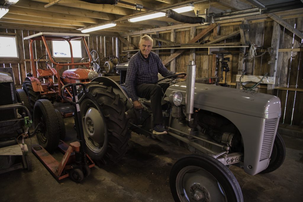 Sommer på Porsmyr bygdetun 2 Klassiker: En Ferguson traktor, kjent som Gråtass i Norge, har selskap av flere traktorer av fin gammel årgang.