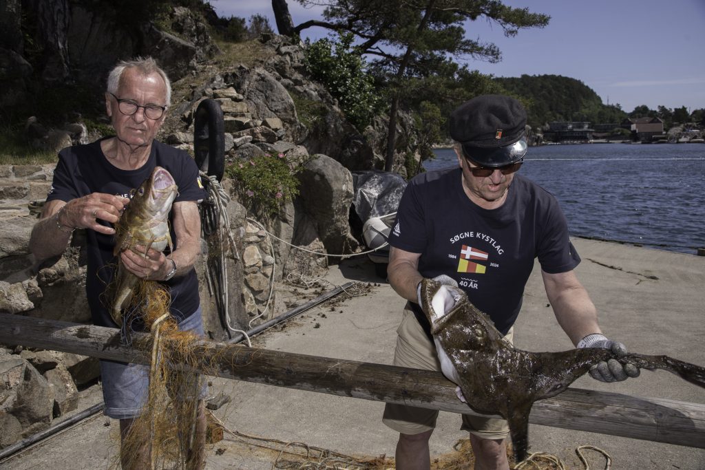 Kortreiste gleder ved Trysfjorden 3 Fin fangst: Jan Arne Kleivset og Toralf Christiansen med torsk og breiflabb av pen størrelse. Toralf er en mester til å lage benfrie fileter av godsakene og det var det mange som fikk nyte godt av lørdag.