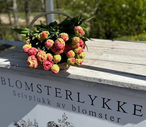 Blomsterlykke