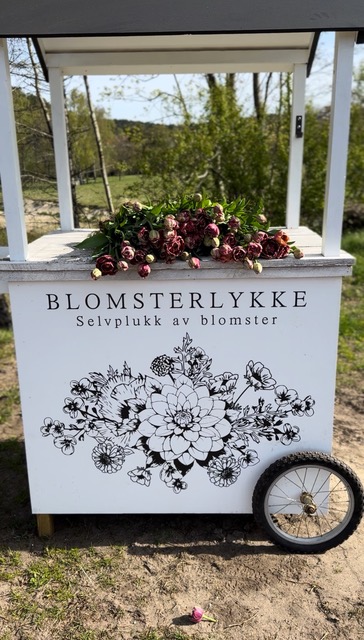 Blomsterlykke