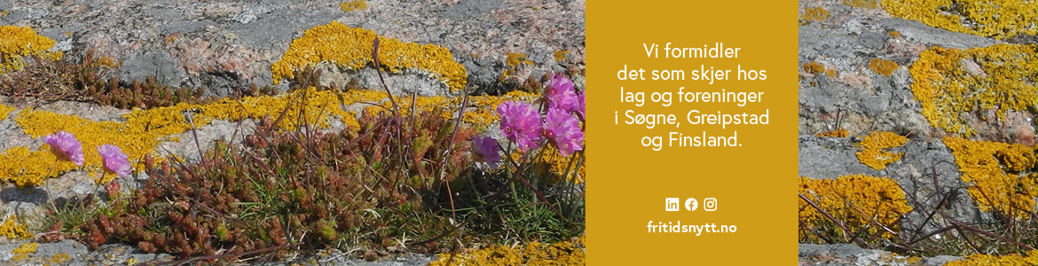 Banner sommer Fritidsnytt