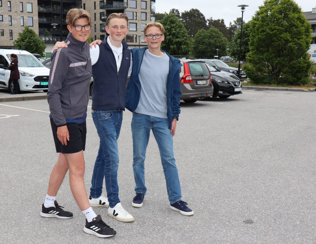 Gåaksjon til Bortelid