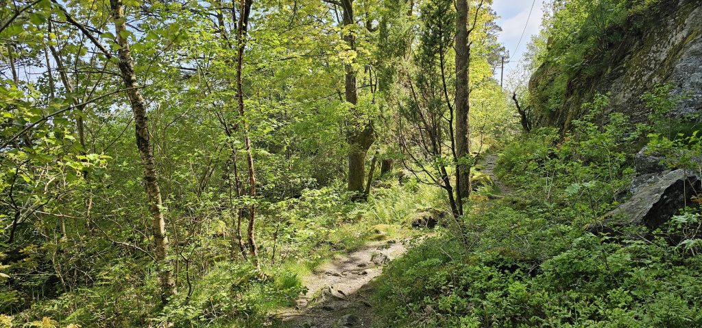Friluftsparken i Søgne - Romsviga 13 Kyststi Helleviga og Romsviga