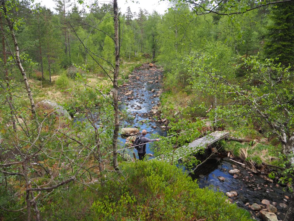 Har du hilst på Nykken? 3 Elva som starter ved Sognevannet og ender i Høllen.Bru: Her har Reidar Heivoll laget en bru så en kan komme seg tørrskodd over elva.