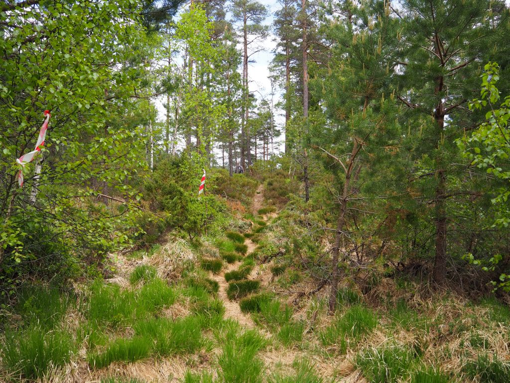 Har du hilst på Nykken? 2 Deretter en grei sti som fører mot Songa.