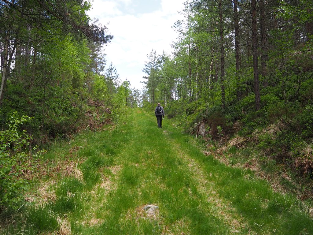 Har du hilst på Nykken? 1 Etter at en har parkert går en et stykke på traktorvei.