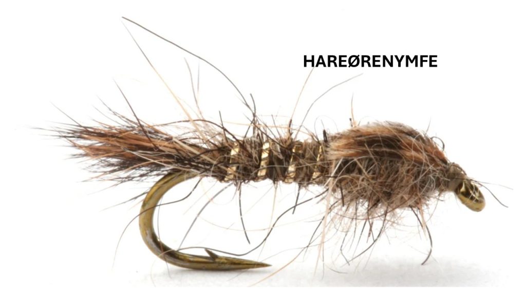 Fisketips med Stein Grønberg 4 Hareøre heter denne fluen og tiltrekker seg oppmerksomhet.