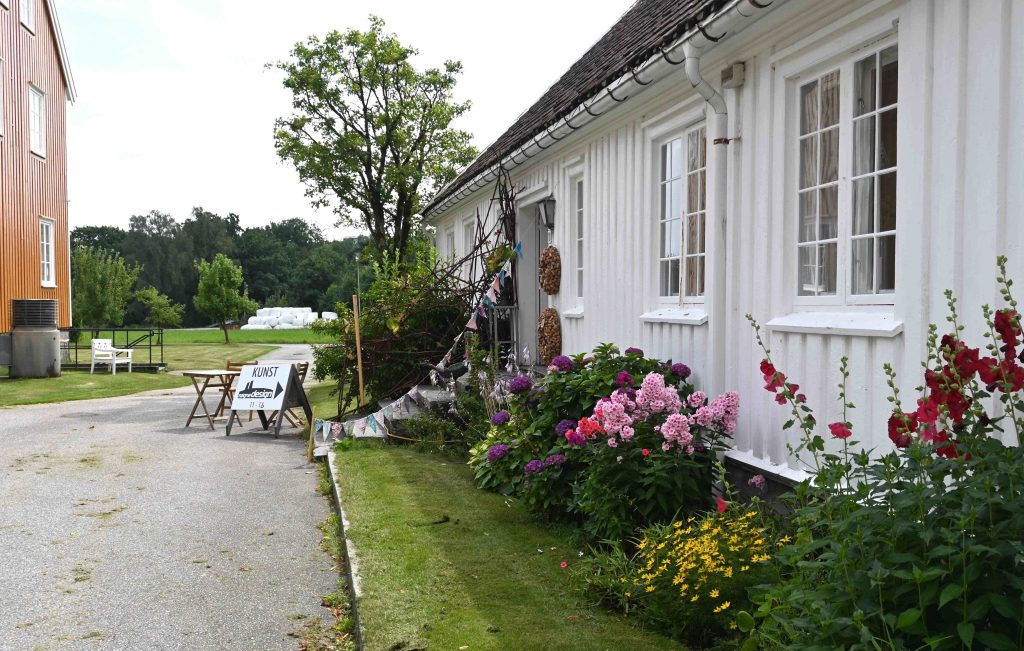 Søgnedesign 2025
