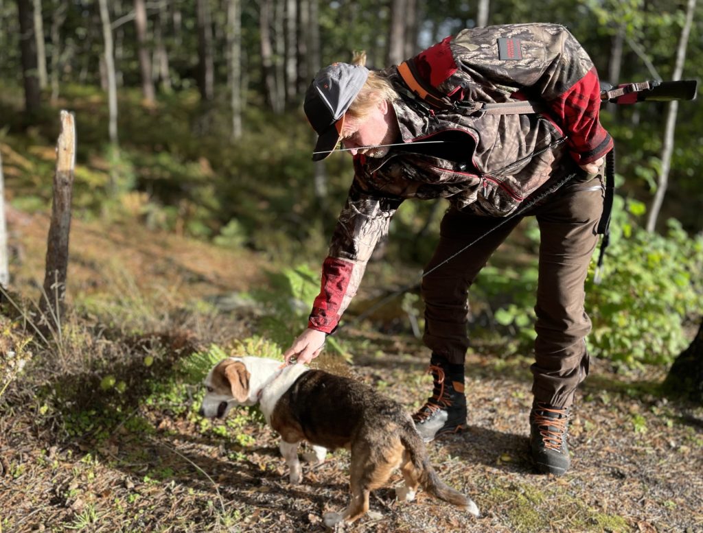 Hilma sendes ut for å finne vilt.