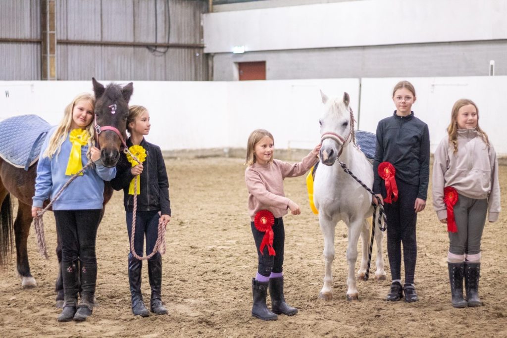 Deltakerne i stellekonkurransen fikk alle med seg rosetter for den gode innsatsen.