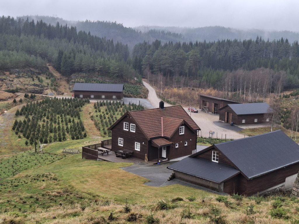 Det vanskelige juletrevalget – bør være enkelt 1 Idylliske Skogen gård.