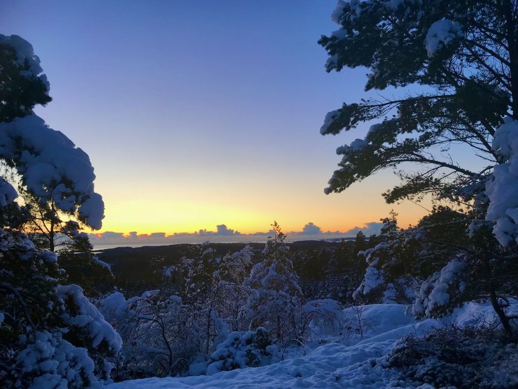 Fræddaspoeten Julemagasinet