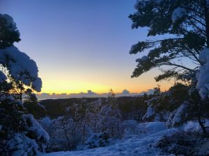 Fræddaspoeten Julemagasinet