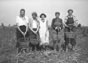 Søgne bygdekvinnelag